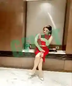 Ritika Elite Call Girls in Ludhiana Provides VIP Services